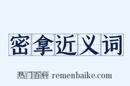 密拿近义词是什么意思的图片